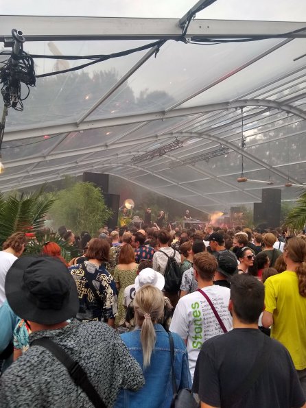 Dekmantel 31